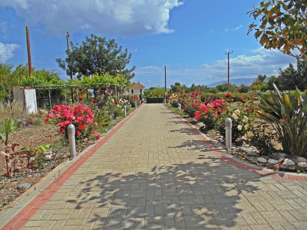 Eliofos Luxury Villa Полис Экстерьер фото