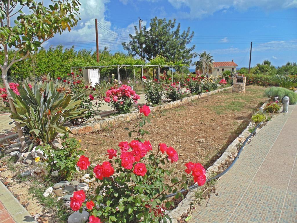 Eliofos Luxury Villa Полис Экстерьер фото