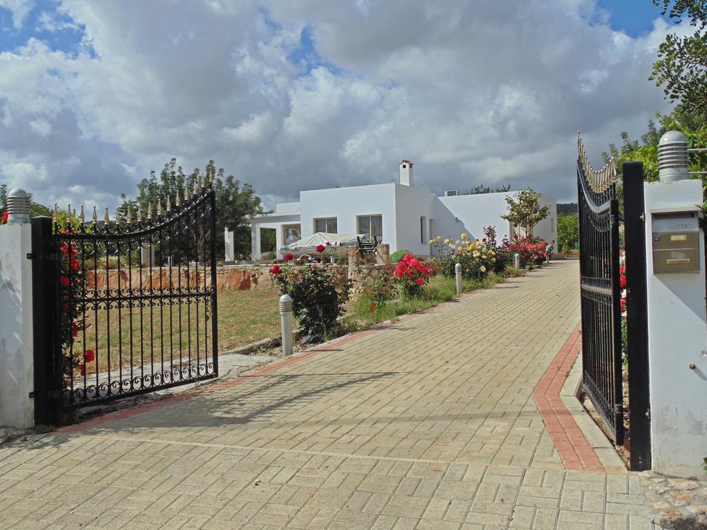Eliofos Luxury Villa Полис Экстерьер фото