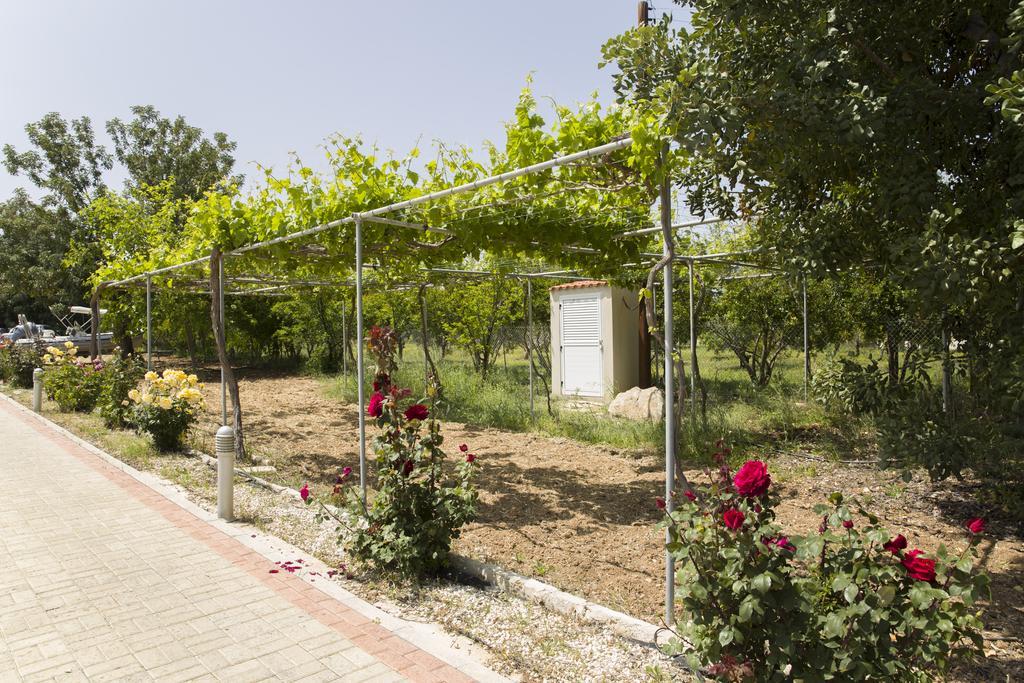 Eliofos Luxury Villa Полис Экстерьер фото