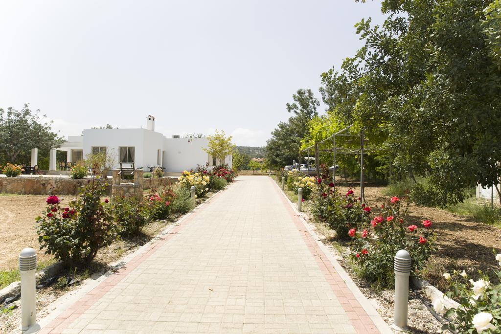 Eliofos Luxury Villa Полис Экстерьер фото
